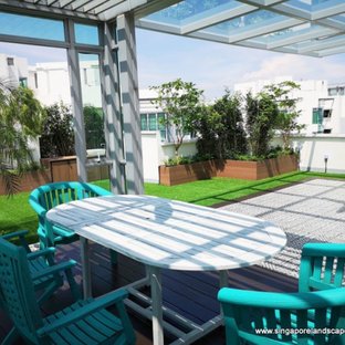 Landscaping Singapore: Real-World Costs, Surprising Benefits & Bold Design Trends